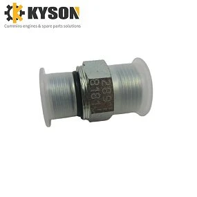 Check Valve 2898181 2898182 (1)(001)