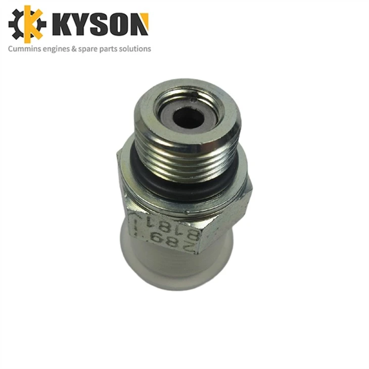 Check Valve 2898181 2898182 (2)